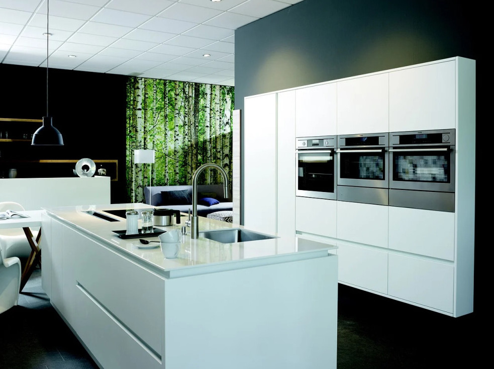 Modern Kitchen Style